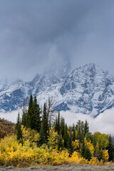 USA, Wyoming. Grand Teton in the clouds with colorful autumn foliage, Grand Teton National Park.