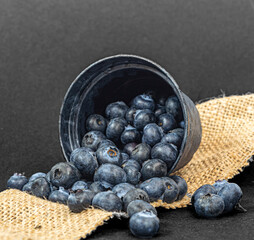 blueberries in a bucket on a black background