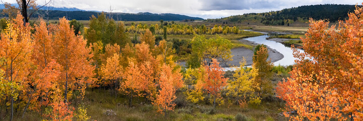 Obraz premium USA, Wyoming. Panoramic. Colorful autumn foliage with river, clouds, and mountains, Grand Teton National Park.