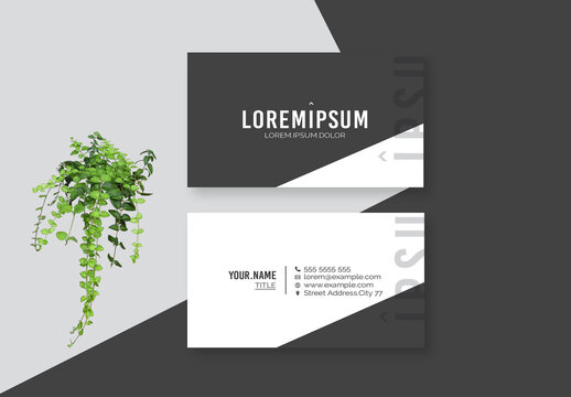 Black and White Business Card