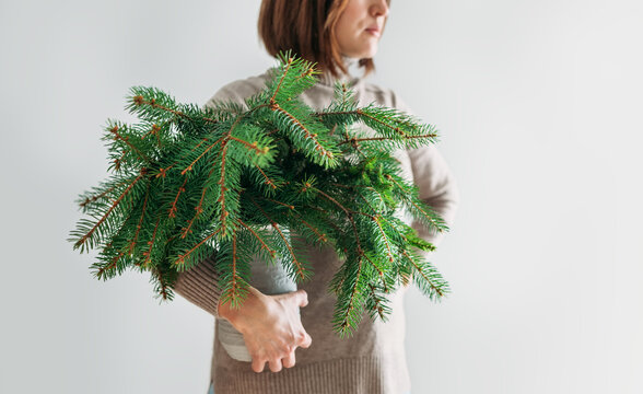 A woman dressed warm cozy sweater holding the clay vase full of green freshly cut fir-tree coniferous branches. Isolated on the white wall background people and Nature concept.