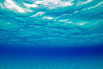 A nice open underwater scene showing infinite blue water sandwiched between a sandy bottom and the surface of the sea. The pure environment provides a perfect background
