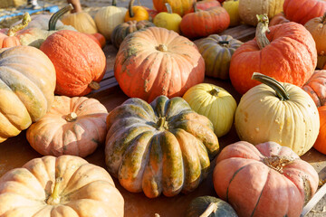 Fall Harvest, Pumpkins, Gords, Farm in the Fall, Pumpkin market