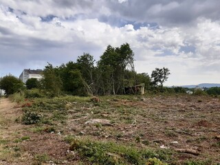 Paraje deforestado en Galicia