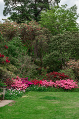 Garden with blooming trees during spring time