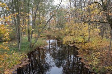 Fototapeta na wymiar Beautiful natural autumn view of small river flowing through forest in autumn.