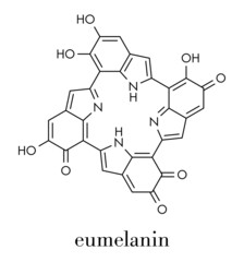 Melanin (eumelanin), proposed oligomeric structure model. Primary determinant of skin color. Skeletal formula.