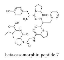 Beta-casomorphin peptide 7 molecule. Breakdown product of casein that may play a role in human diseases. Skeletal formula.