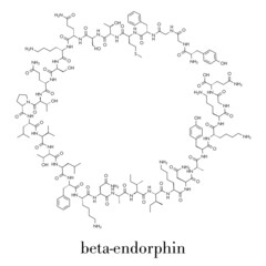 Beta-endorphin endogenous opioid peptide molecule. Skeletal formula.