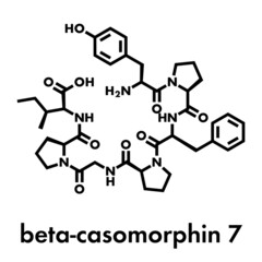 Fototapeta premium Beta-casomorphin peptide 7 molecule. Breakdown product of casein that may play a role in human diseases. Skeletal formula.
