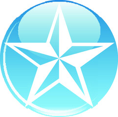 Elegant blue star logo 