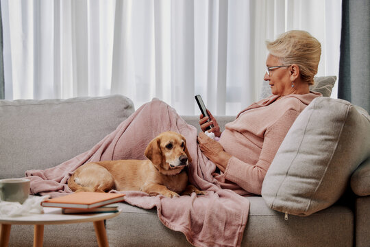 Sick elderly woman on sofa with her dog suffering from seasonal flu or cold and using phone or tablet for entertainment or online doctor consultation. Ill senior feel unhealthy with influenza at home - Powered by Adobe