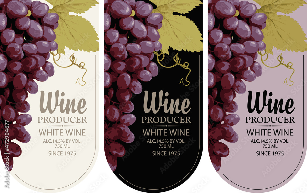 Poster set of wine labels with realistic bunches of delicious red grapes and calligraphic inscriptions in a
