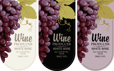 Set of wine labels with realistic bunches of delicious red grapes and calligraphic inscriptions in a figured frames on a various backgrounds. Wine collection premium quality. Vector illustration