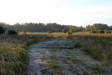 Sunny frosty morning in early autumn. The grass is covered with frost. Colored leaves on the trees.