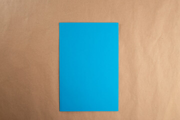 DIY plastic bottle snowman, handmade Christmas card for kids, tutorial