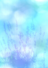 初夏のやさしい光に包まれる、ラベンダーのシルエット