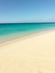 Fototapeta na wymiar 南の島のトロピカルなビーチ
