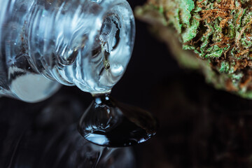 Macro View of Medical Cannabis Flower with Drops of Oil CBD THC on Black Mirroring Background.