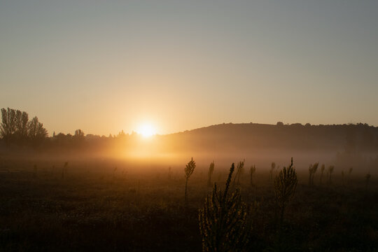 Good morning pandorra, a rural sunrise in the morning mist.