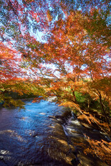 くらもち滝の紅葉　長生郡