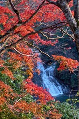 粟又の滝と紅葉　養老渓谷