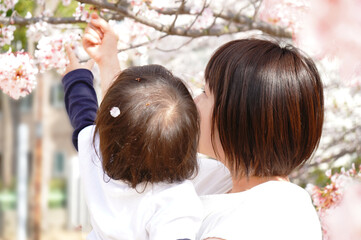 桜の花を見る子供と母親