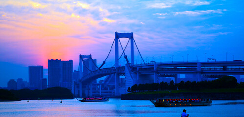Fototapeta na wymiar Tokyo from Odaiba