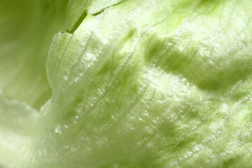 Macro texture of iceberg lettuce