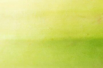beautiful abstract green background texture