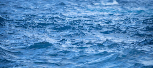 Obraz premium Tropical blue ocean in Hawaii. Summer sea in clean and clear water from surface for background. Waves concept design.