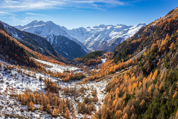 Autumn scene in high mountains. Grauson valley, Cogne, Aosta valley, Italy