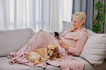 Sick elderly woman on sofa with her dog suffering from seasonal flu or cold and using phone or tablet for entertainment or online doctor consultation. Ill senior feel unhealthy with influenza at home