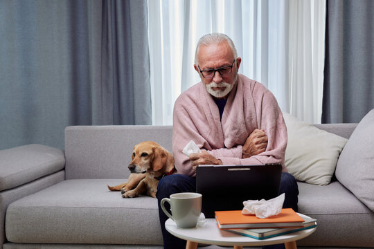 Sick elderly man on sofa with his dog suffering from seasonal flu or cold and using tablet for entertainment or online doctor consultation. Ill senior feel unhealthy with influenza at home