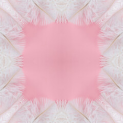 Fototapeta na wymiar abstract background of pattern of a kaleidoscope frame. pink ostrich fractal mandala. abstract kaleidoscopic arabesque. geometrical ornament love feather pattern