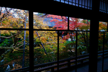【京都】禅林寺の紅葉（秋）