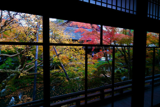 【京都】禅林寺の紅葉（秋） © firstocean
