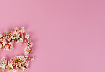 Fototapeta na wymiar Overhead view of cherry blossoms on pink background for Mothers Day or Easter holiday