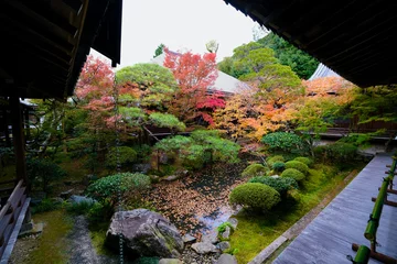 Selbstklebende Fototapeten 【京都】禅林寺の紅葉（秋） © firstocean