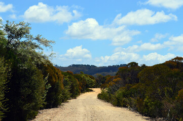 A walking trail in the Blue Mountains of Australia