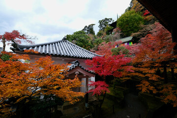 【京都】禅林寺の紅葉（秋）