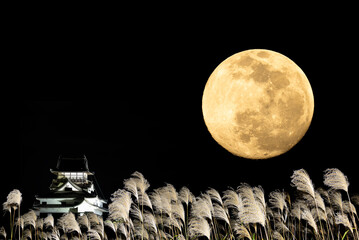 満月とススキとお城。日本の秋のコンセプト。