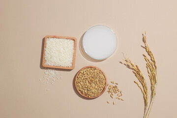 wheat and rice extract in petri dish purple background with cosmetic jar for product advertising ,...