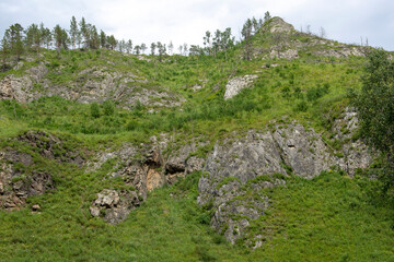 mountain peaks overgrown with green coniferous forest. warm summer day