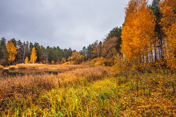 Autumn landscape. Ob Sea