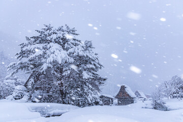 豪雪の白川郷へ行ってみない？