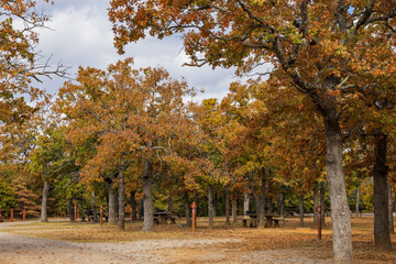 Naklejka premium Fall color of the Osage Hills State Park