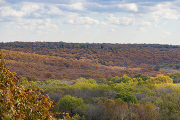 Fototapeta na wymiar Fall color of the Osage Hills State Park