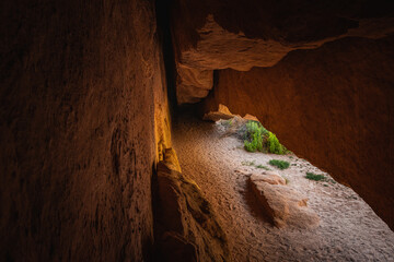 View on Whispering Cave in Echo Park Campground, Dinosaur Nation Monument, Utah and Colorado, USA