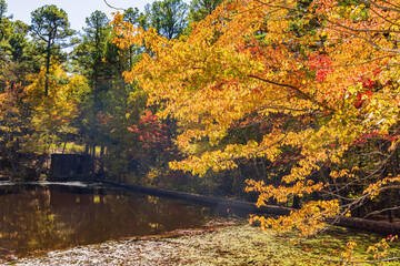 Nature autumn fall color of Robbers Cave State Park